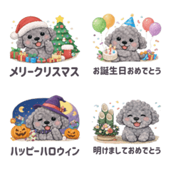 Fluffy and cute gray toy poodle emoji