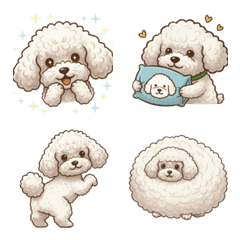 พูเดิ้ล (สีขาว) : น้องก้อนเมฆ