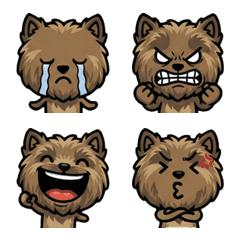 Overreaction Cairn Terrier 1