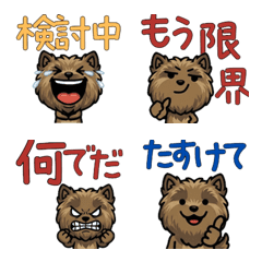 Overreaction Cairn Terrier 3 Text