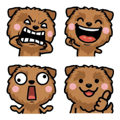 Overreaction Norfolk Terrier 1