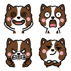 Overreaction Pointer Dog 1