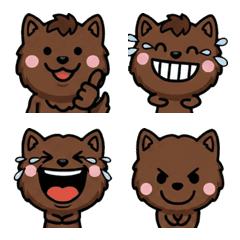 Overreaction Havana Brown 1