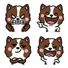 Anim. Overreaction Pointer Dog 2