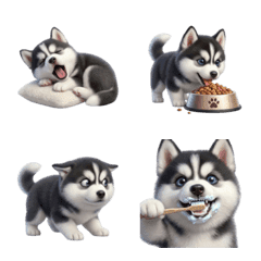 Tiny Siberian Husky emoji