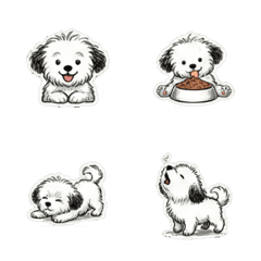 Fluffy Puppy's Expressive Life