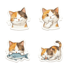 Cute Hand-Drawn Expressive Kitty