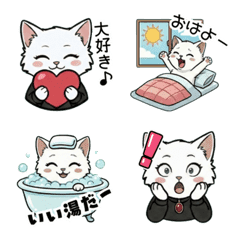 Cute & Puffy Persian Cat LINE Emoji