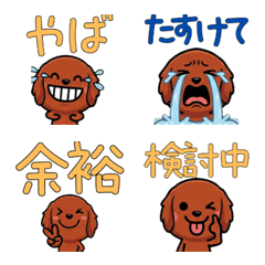 ไอริช เซตเทอร์ดุ๊กดิ๊ก 4 มีคำ」：「