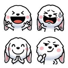 กระต่ายแองโกราดุ๊กดิ๊กเล่นใหญ่ 2