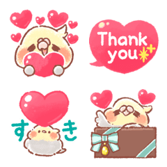 好多愛心！玄鳳鸚鵡