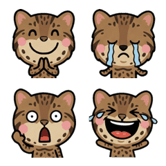 แมวอิริโอะโมะเตะดุ๊กดิ๊ก 2