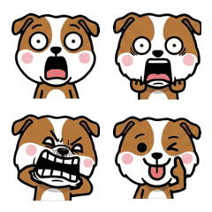 อิงลิช เซตเทอร์ดุ๊กดิ๊ก 2