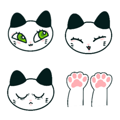 white and black cats (emotional)