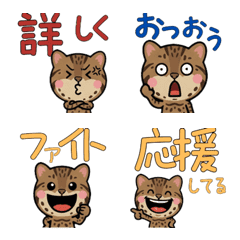 แมวอิริโอะโมะเตะดุ๊กดิ๊ก 4