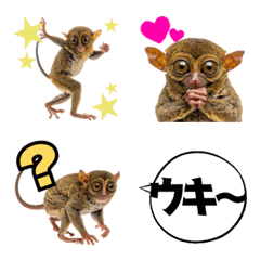 Cute-Eyed Tarsier Reactions