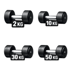덤벨 (2kg-50kg)