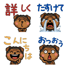 เวลช์ เทอร์เรียดุ๊กดิ๊ก 4