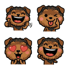 เวลช์ เทอร์เรียดุ๊กดิ๊ก 2