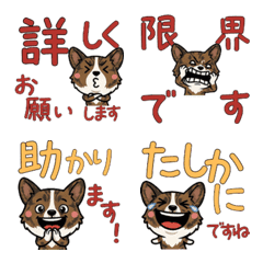 Anim. Polite Cardigan 6