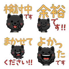 Anim. Polite Black Panther 6