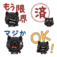 Anim. Black Panther 4 Text