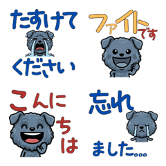 Anim. Polite Kerry Blue 6