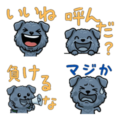 Anim. Overreaction Kerry Blue 4