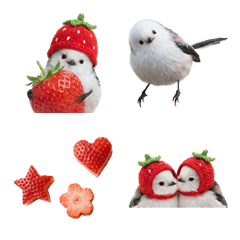 Stroberi dan Shima-enaga