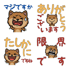 Anim. Polite Jackal 6