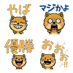 Anim. Overreaction Coyote 4 Text