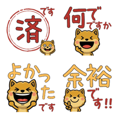 Anim. Polite Coyote 6