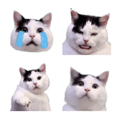 猫ミーム絵文字2