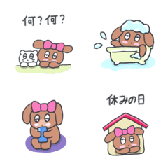 My dog, KooKee  (Japanese) 4