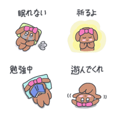 My dog, KooKee  (Japanese) 5