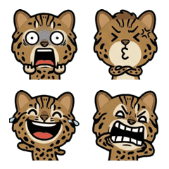 แมวสึชิมะเล่นใหญ่ 1