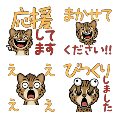 แมวสึชิมะเล่นใหญ่ สุภาพ 5