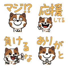 ทอย ฟอกซ์เล่นใหญ่ 3 มีคำ