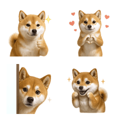 可愛！豆柴表情符號