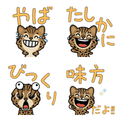 แมวสึชิมะเล่นใหญ่ 3 มีคำ