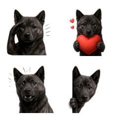 น่ารัก! อีโมจิสุนัขไคเคน