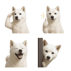 น่ารัก! อีโมจิ คิชูอินุ