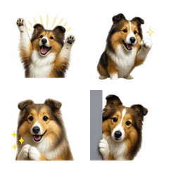 可愛い シェットランドシープドッグ 絵文字