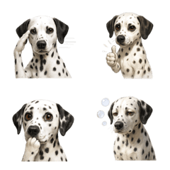 น่ารัก! อีโมจิดัลเมเชียน