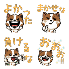 ทอย ฟอกซ์ดุ๊กดิ๊ก 4 มีคำ