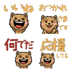 Anim. Norwich 4th Text