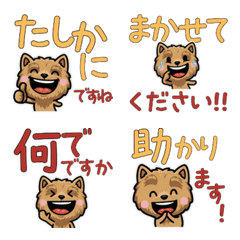 Anim. Polite Norwich 6th