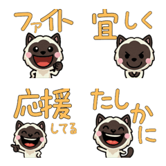 Anim. Birman 4th Text