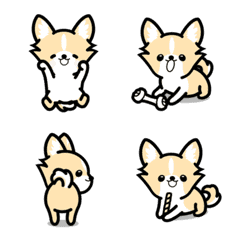 love cream chihuahua moving emoji2