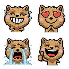 Anim. Norwich Terrier 2nd